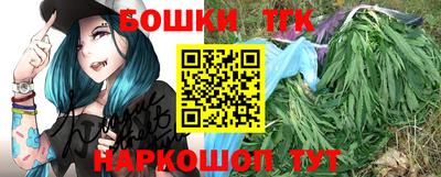 дмт Сланцы